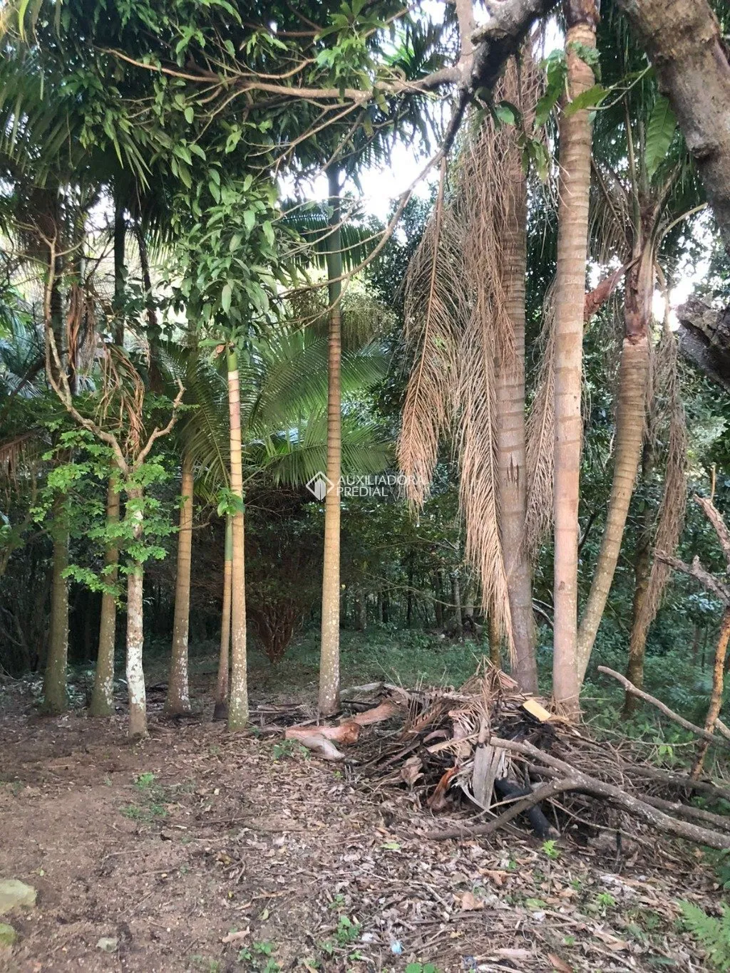 Imóvel — foto 5