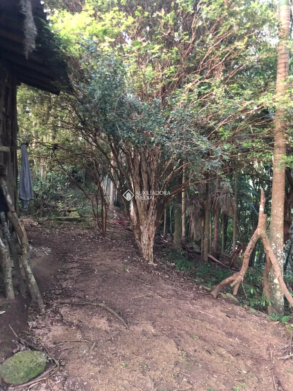 Imóvel — foto 6
