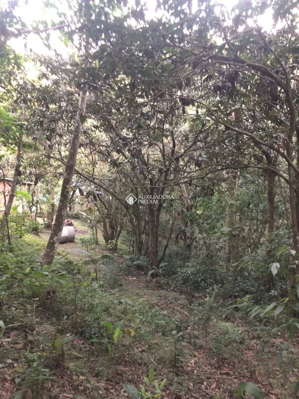 Imóvel — foto 7