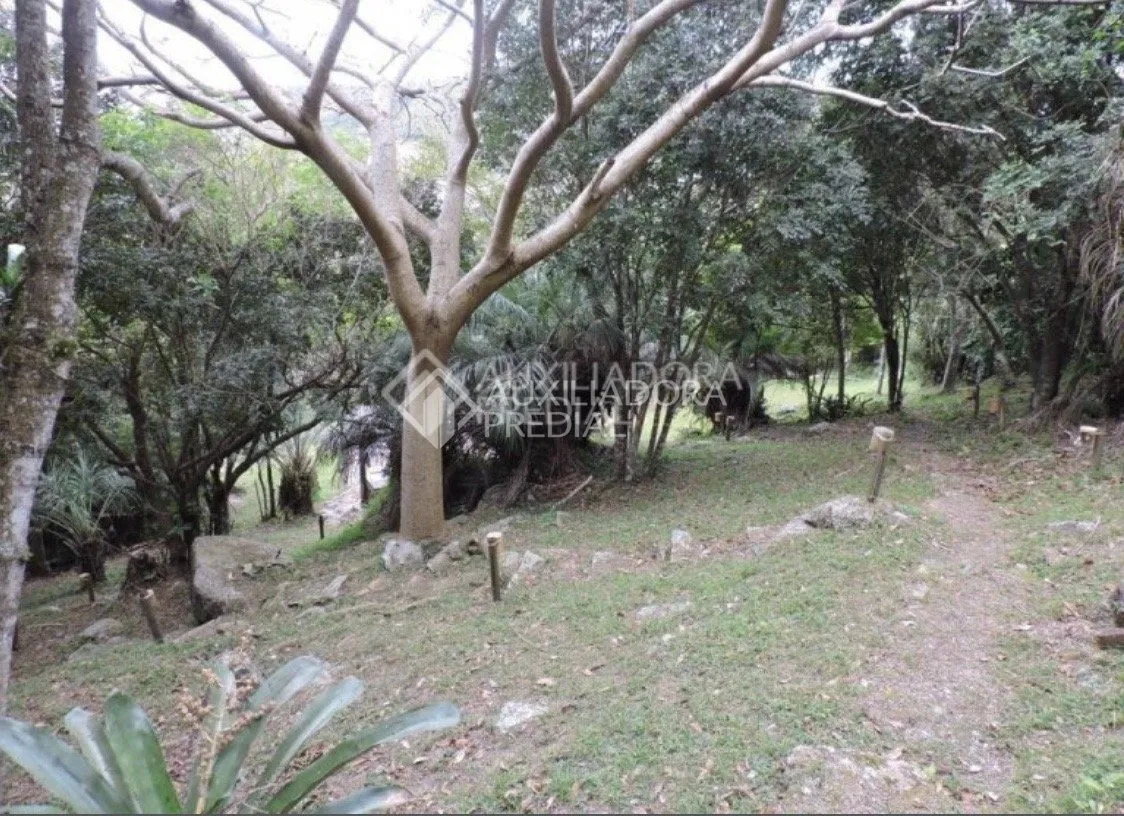 Imóvel — foto 5