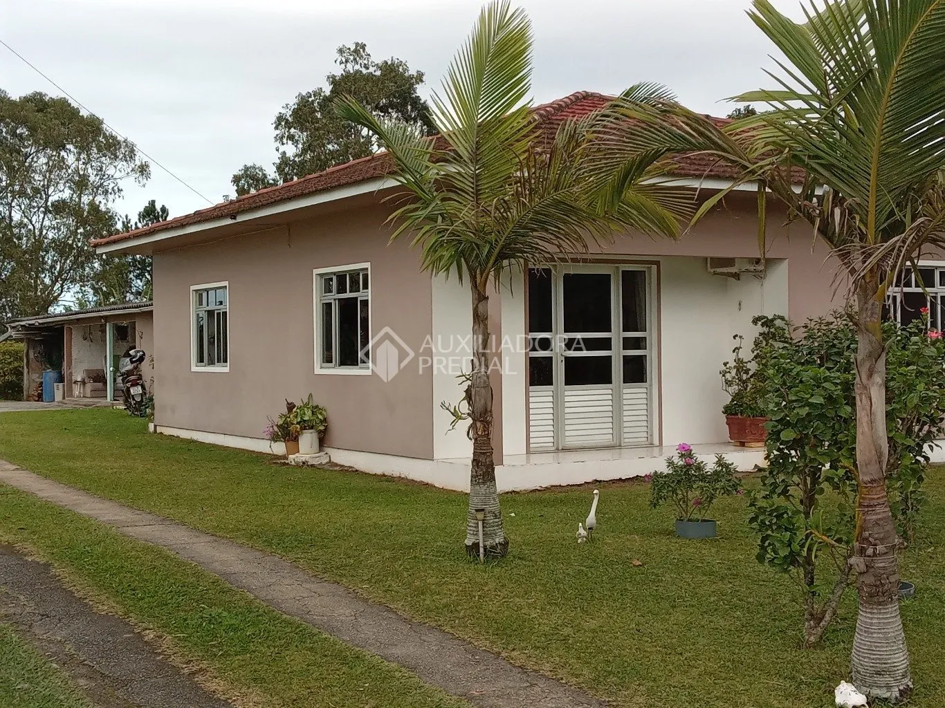 Imóvel - foto 1
