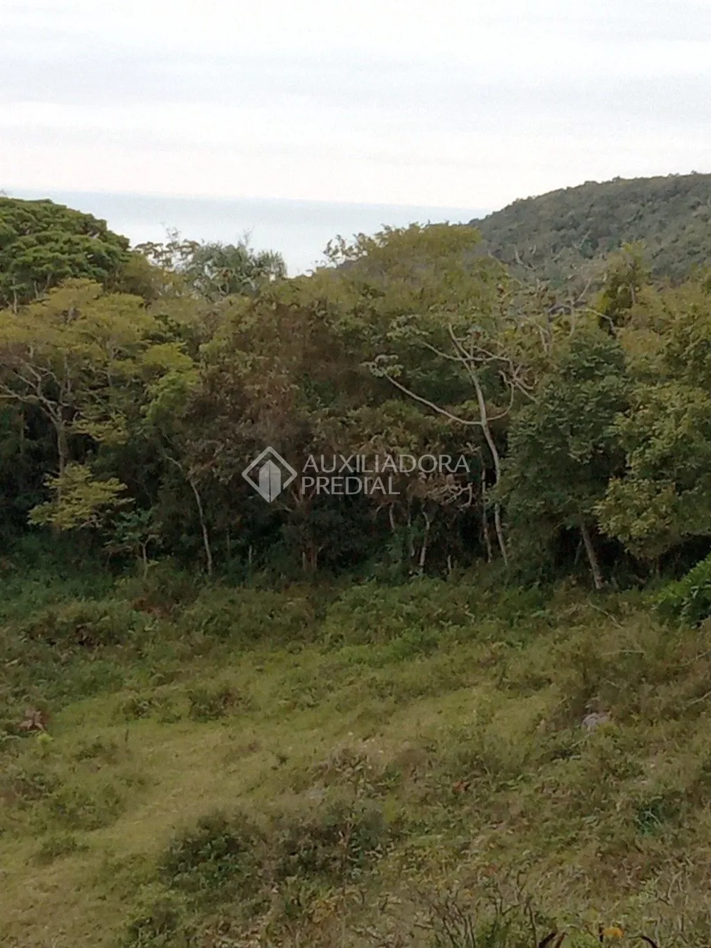 Imóvel — foto 5
