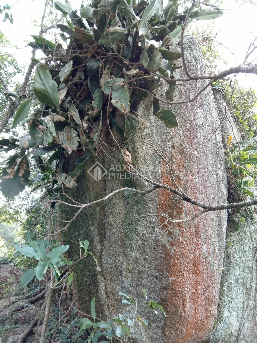 Imóvel — foto 6