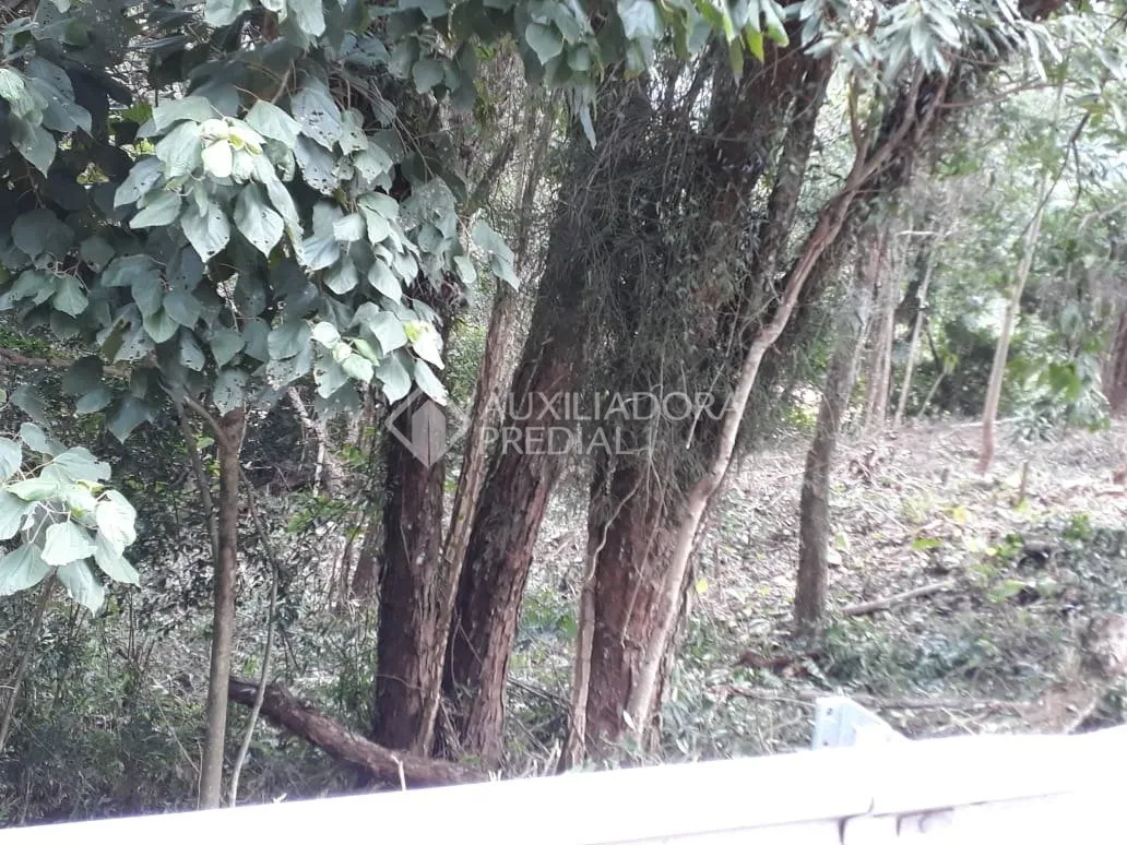 Imóvel — foto 2