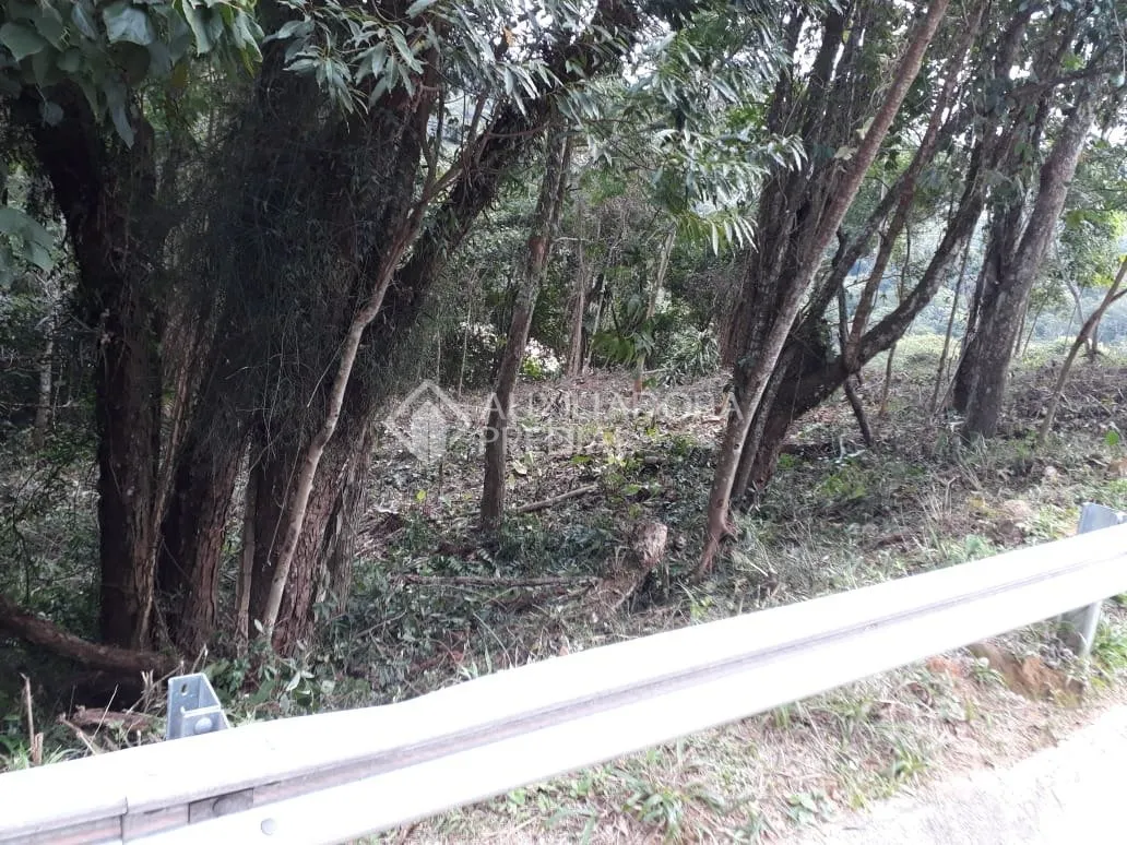 Imóvel — foto 4
