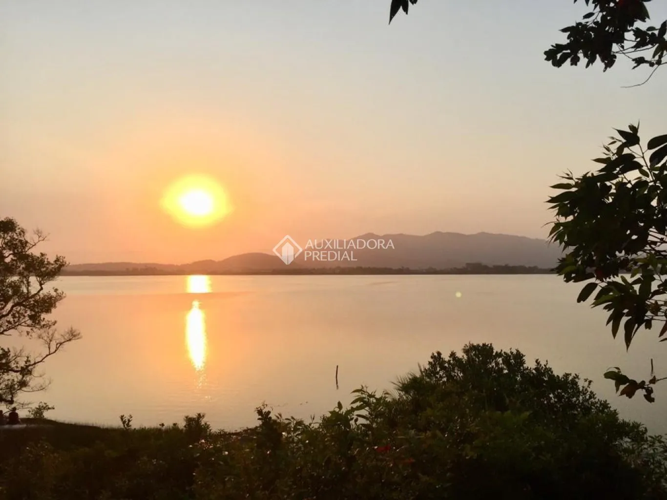 Imóvel - foto 1