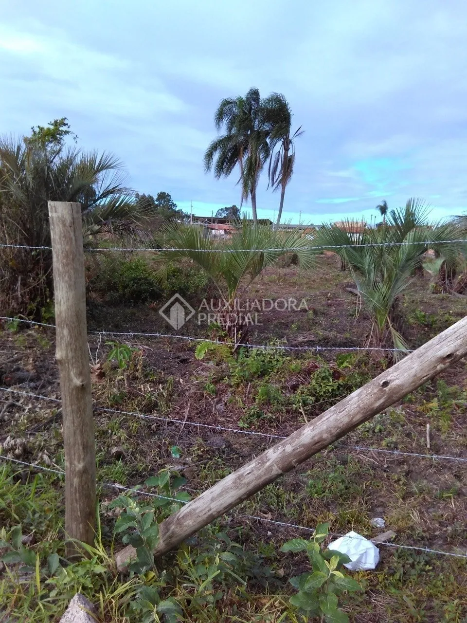 Imóvel — foto 6