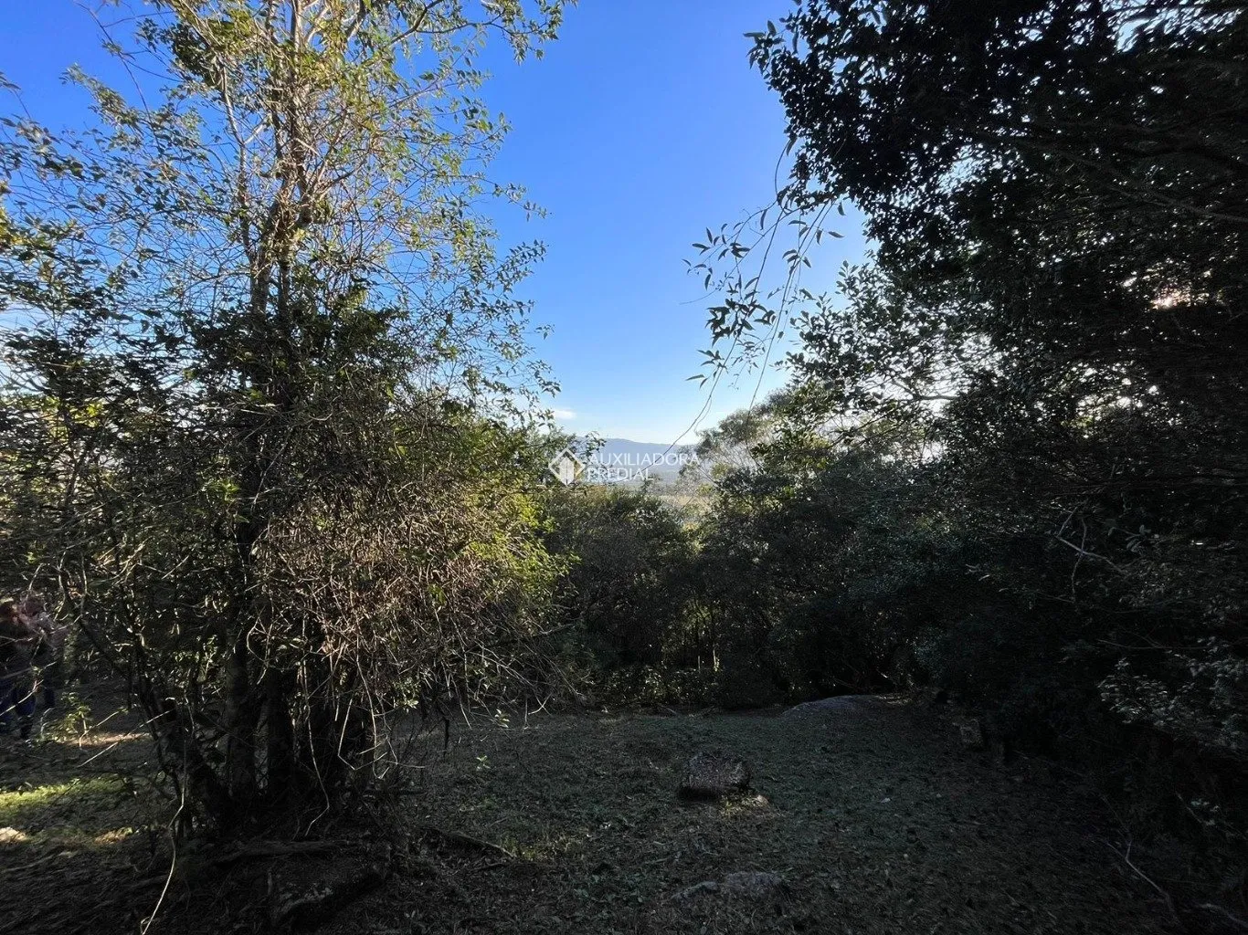Imóvel — foto 3