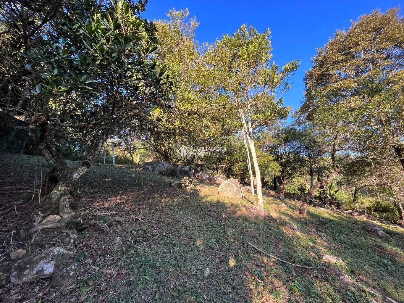 Imóvel — foto 4