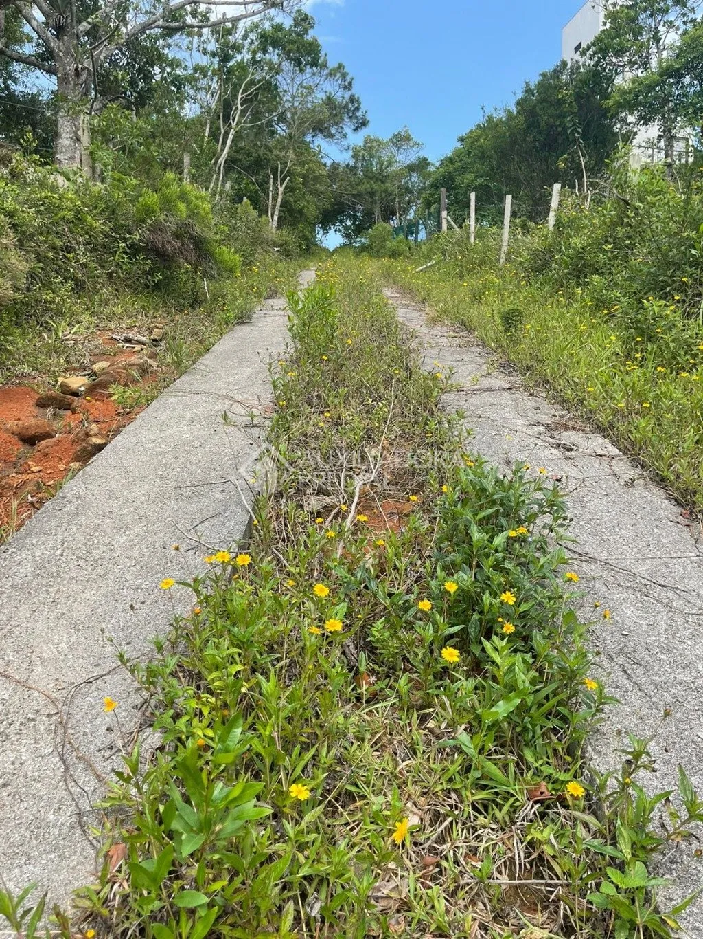 Imóvel — foto 5