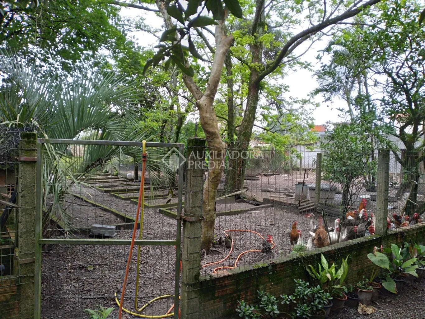 Imóvel — foto 6
