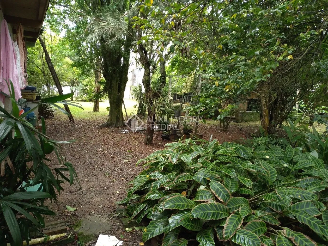 Imóvel — foto 7