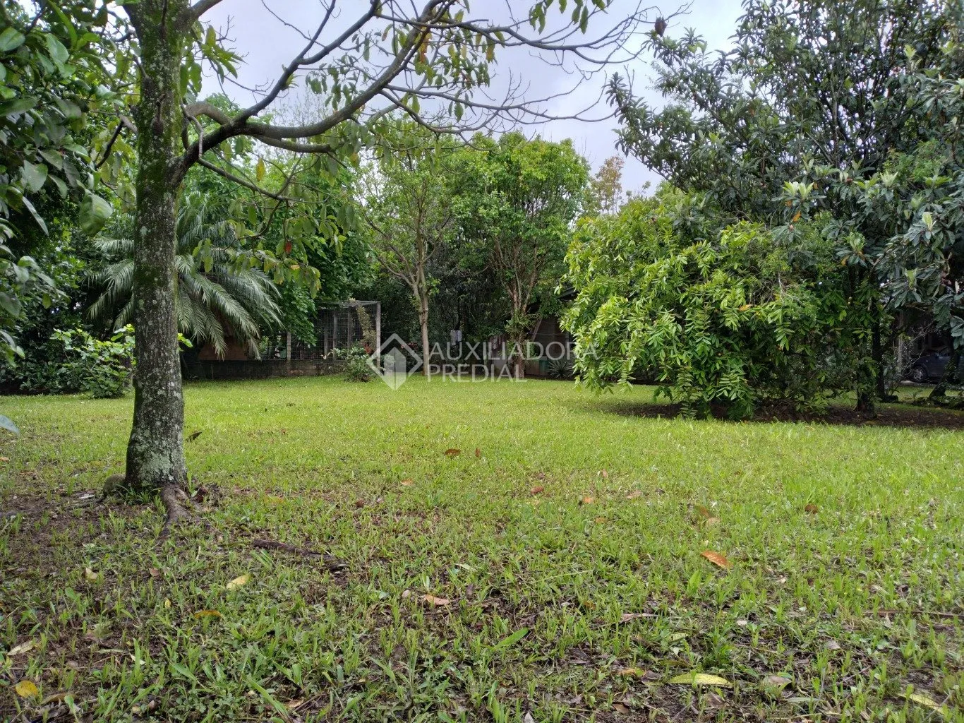 Imóvel - foto 1