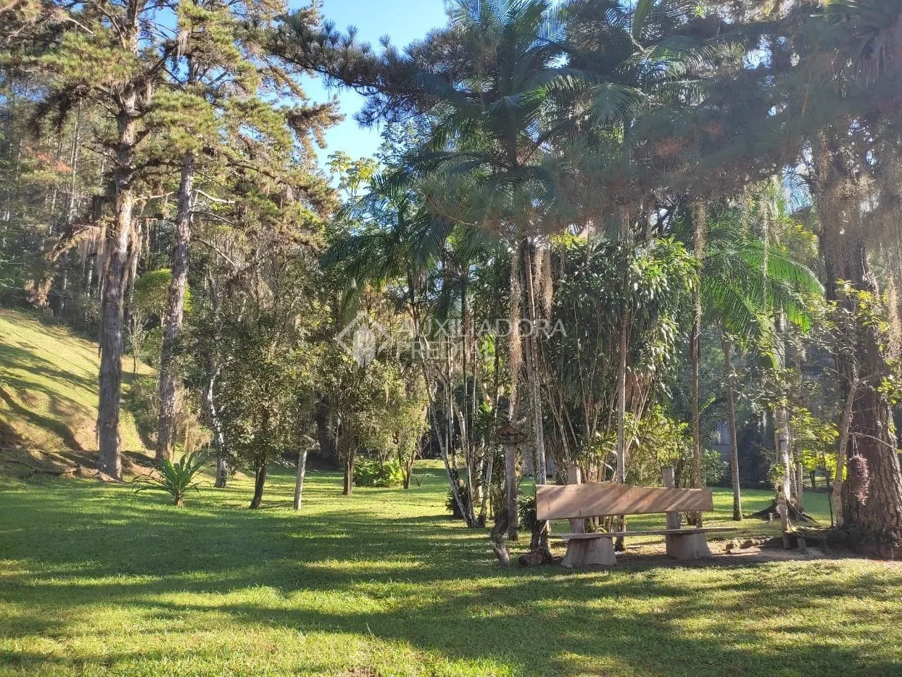 Imóvel — foto 3
