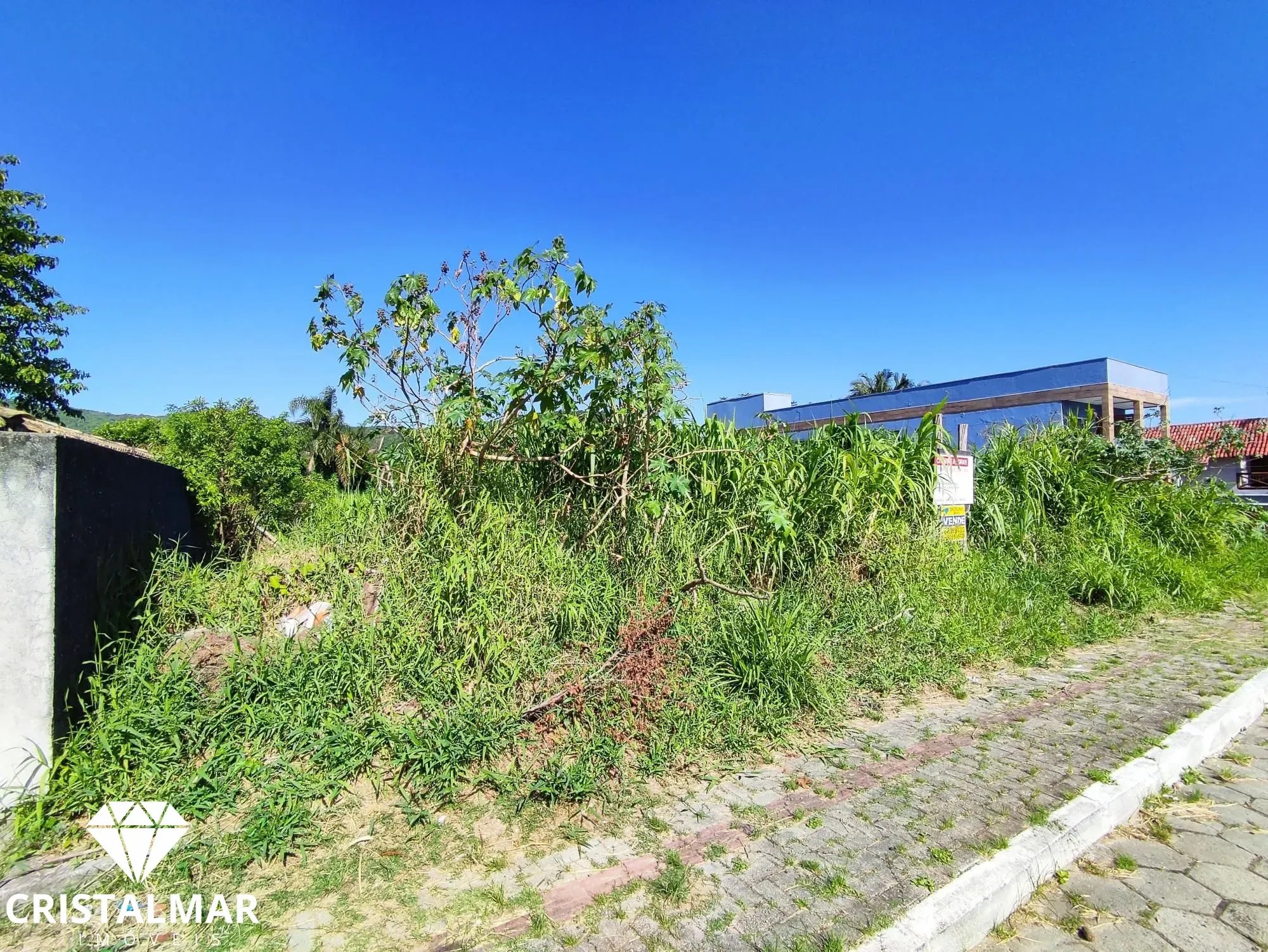 TERRENOS À VENDA PRÓXIMO A PRAIA DE ZIMBROS — foto 4