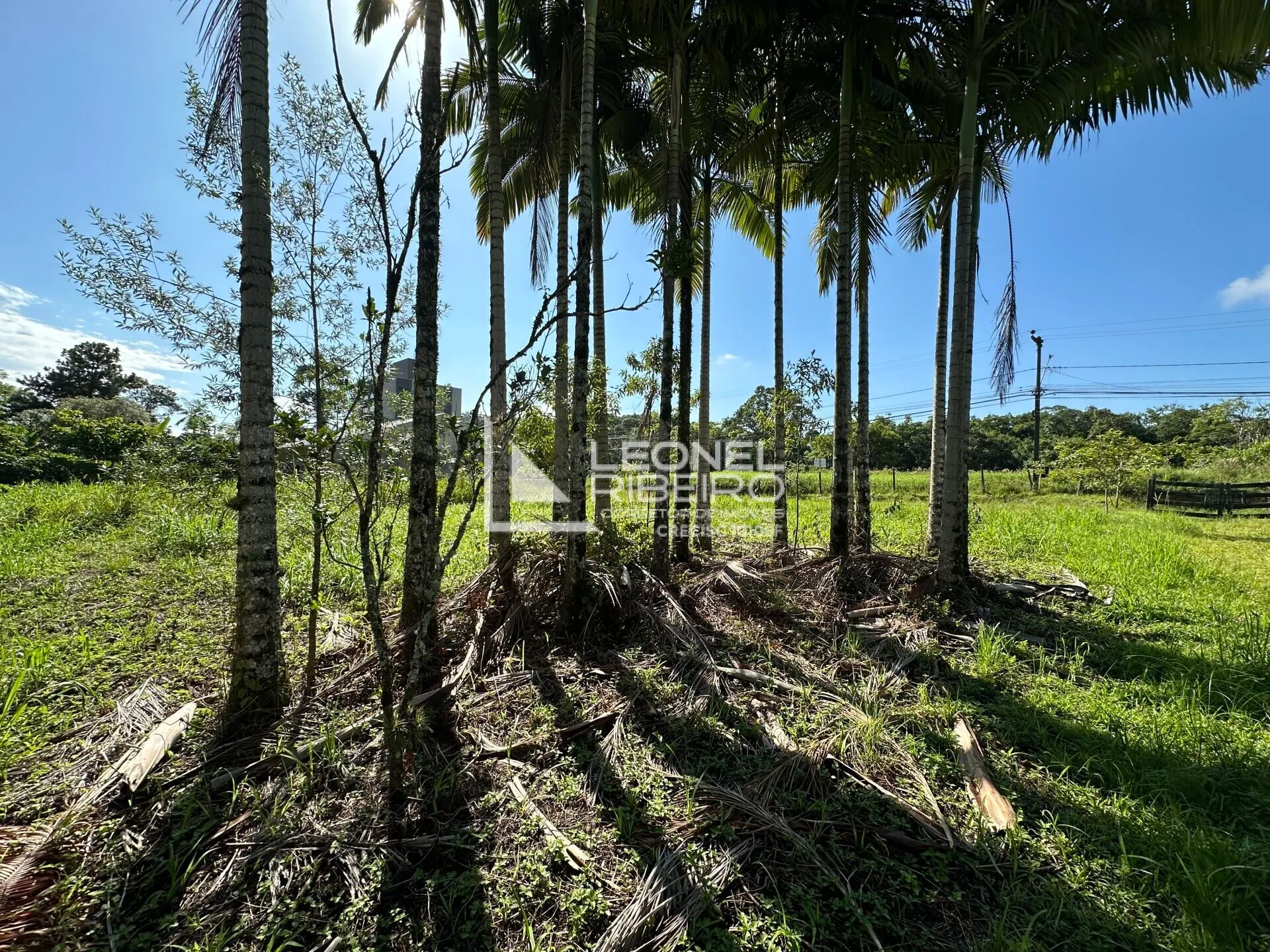 Terreno à venda no bairro Dos Estados em Timbó/SC. — foto 7