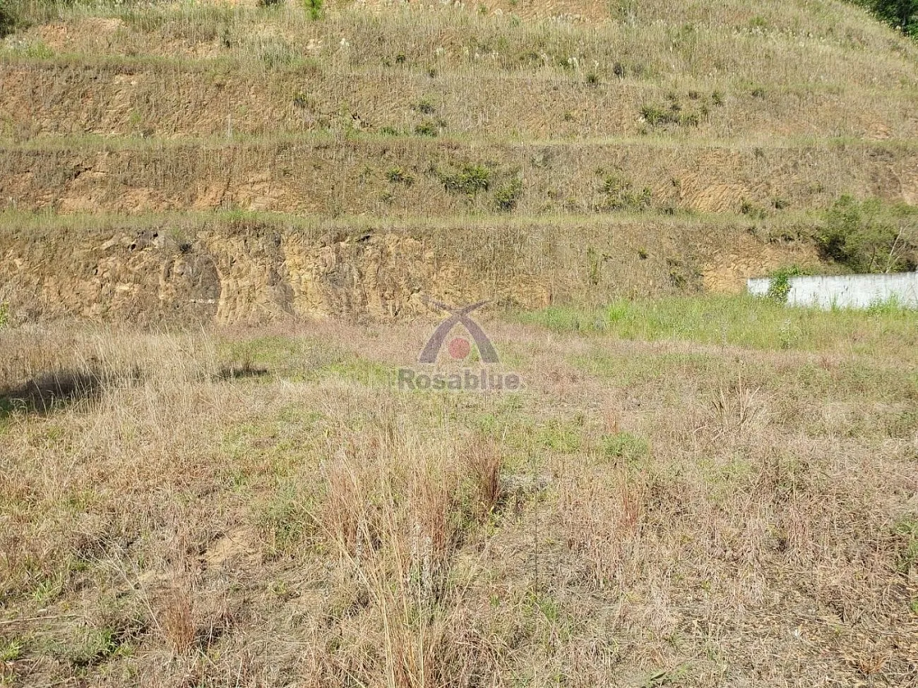 Terreno em Ibirama - foto 1