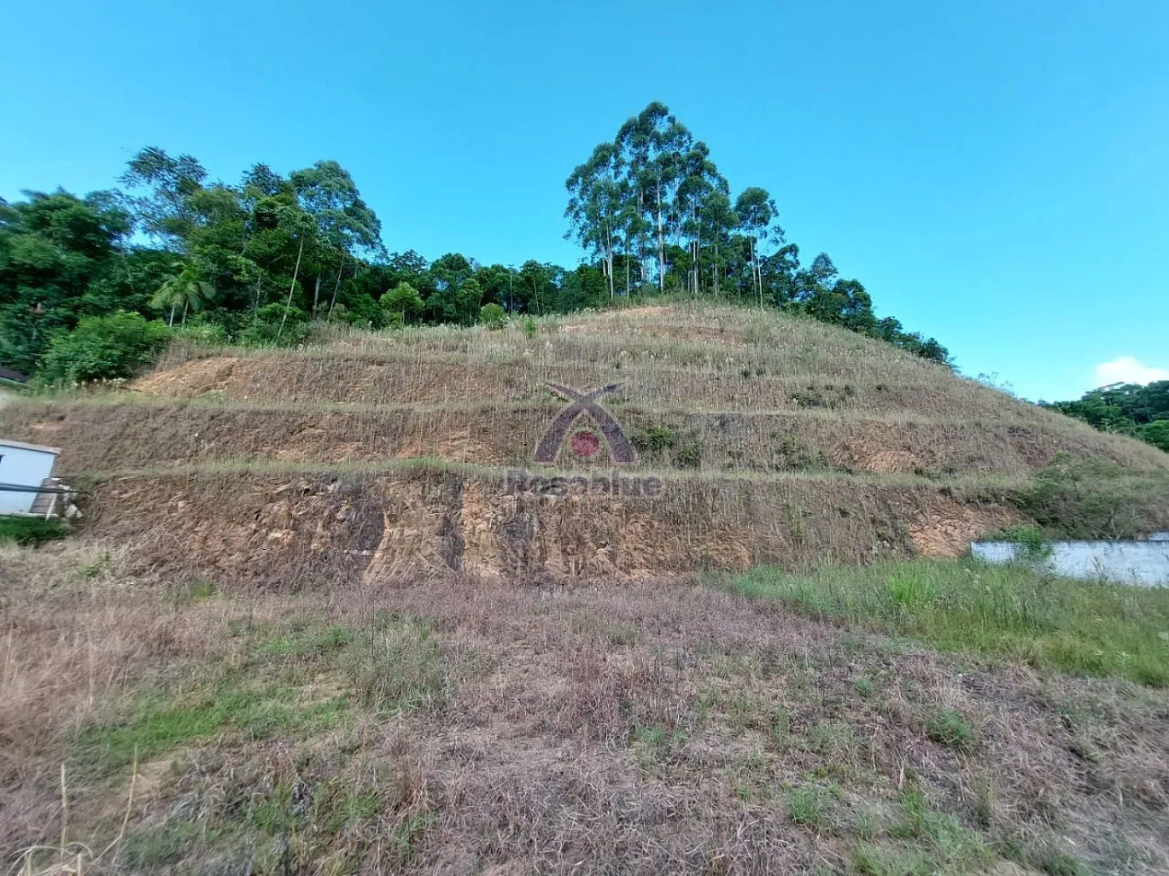 Terreno em Ibirama — foto 4