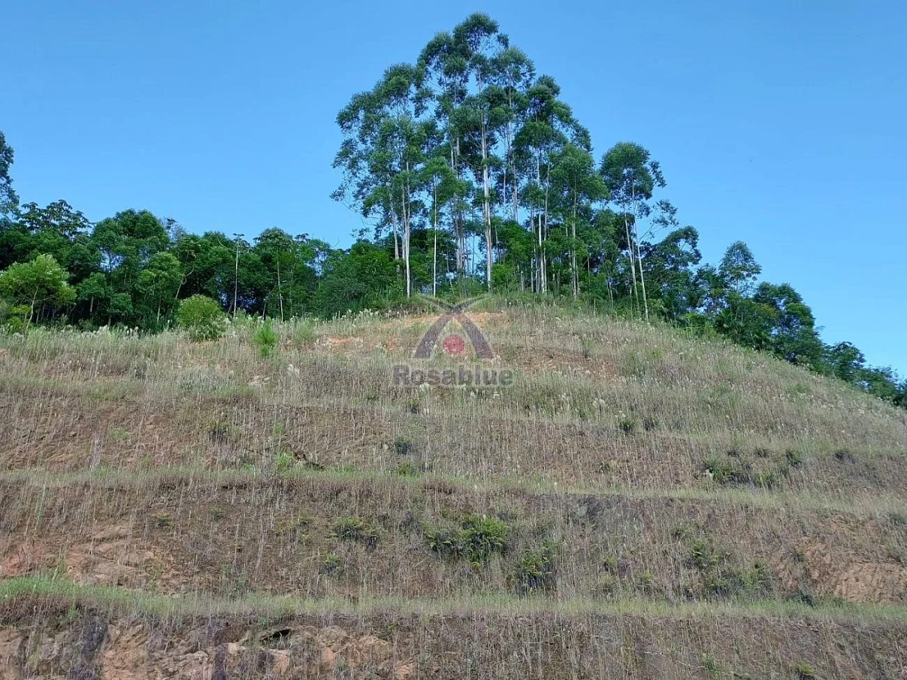 Terreno em Ibirama — foto 5