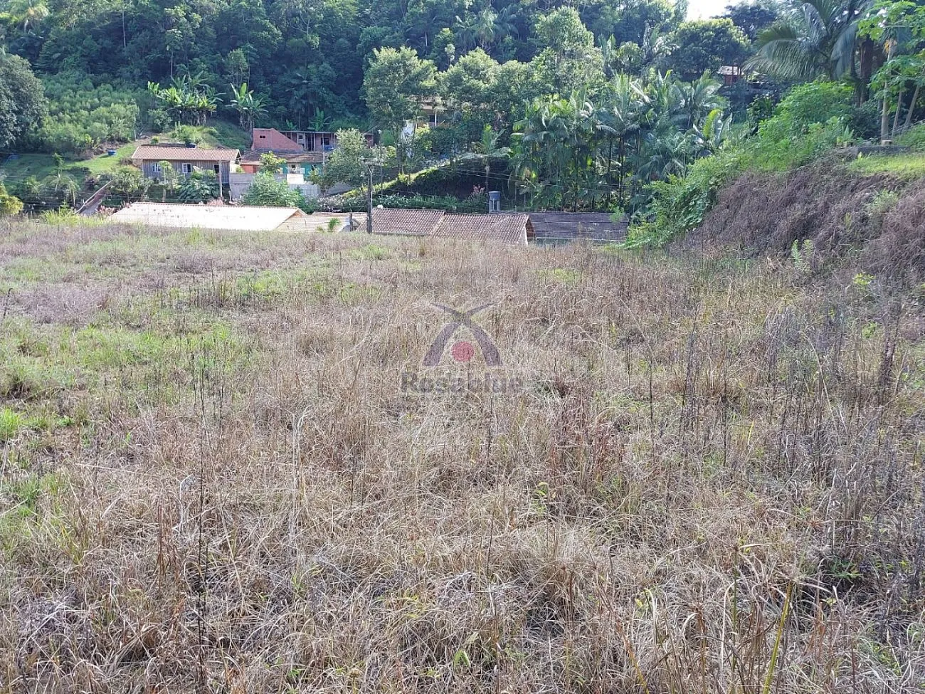 Terreno em Ibirama — foto 6