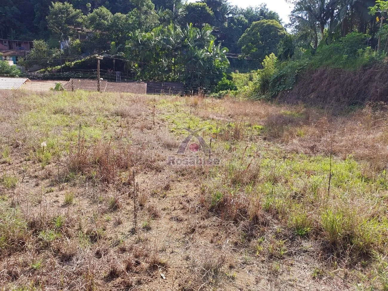 Terreno em Ibirama — foto 7