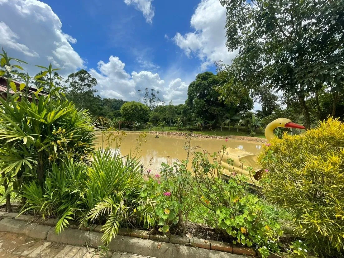 Chácara com 3 dormitórios à venda, 5000 m por R$ 985.000 - Warnow - Indaial/SC — foto 6