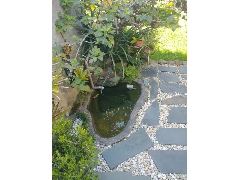 Casa Escola Agrícola 385 — foto 2