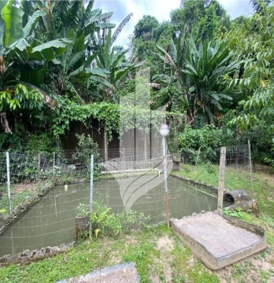 Sitio em Blumenau no bairro Progresso — foto 4