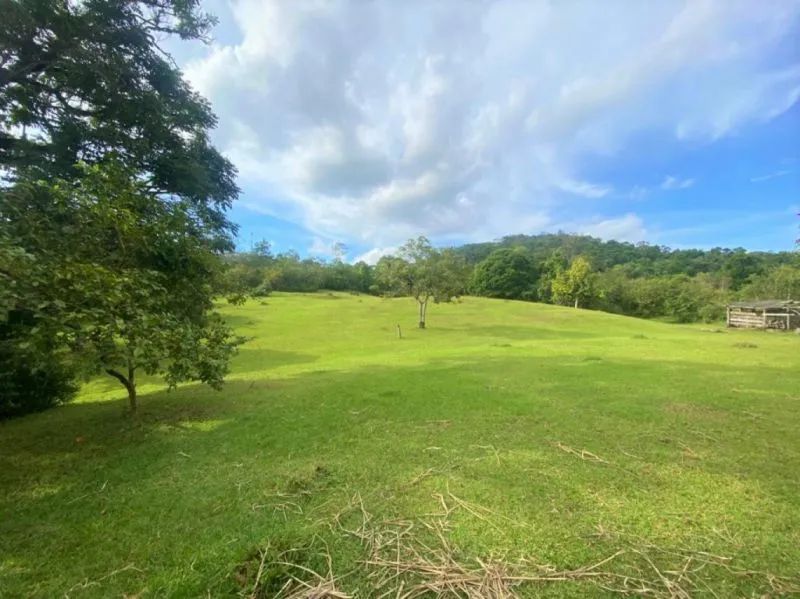 Terreno de 5.284,48m à venda por R$ 1.728,000,00 - Bairro Badenfurt - Blumenau/SC - foto 1
