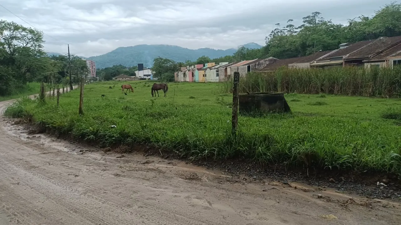 Terrenos loteamento itoupava central — foto 4