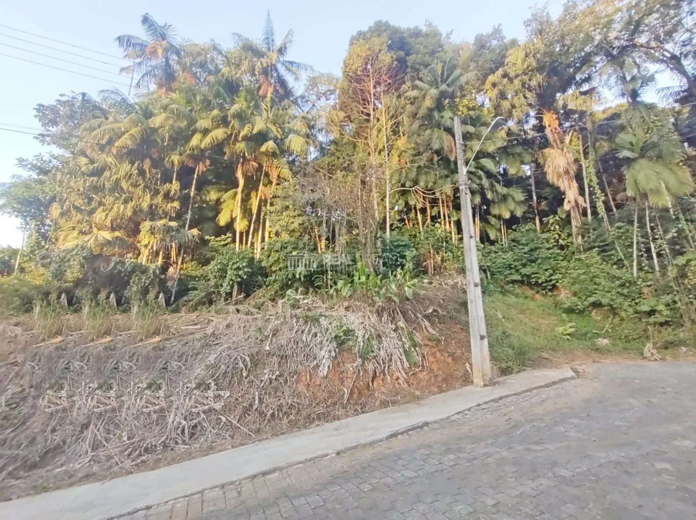Terreno ZR1 com 997,00m no bairro Velha — foto 2