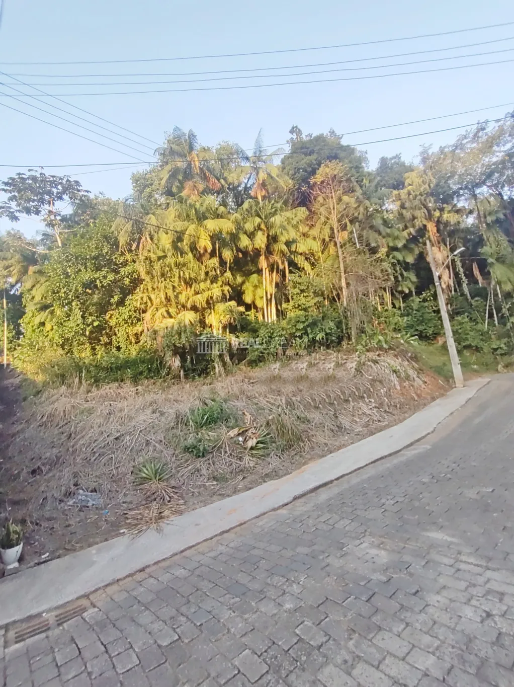 Terreno ZR1 com 997,00m no bairro Velha — foto 3