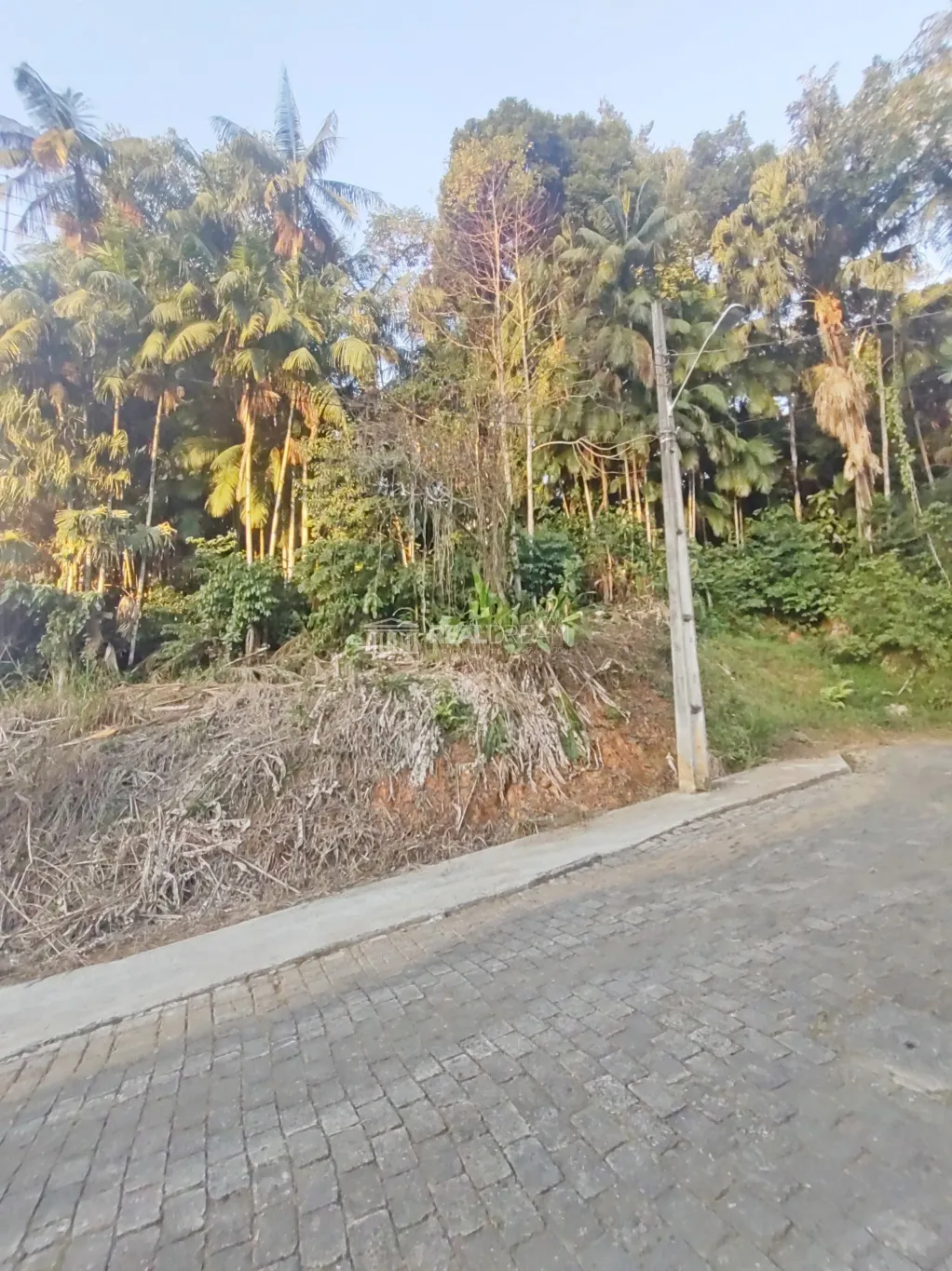 Terreno ZR1 com 997,00m no bairro Velha — foto 4