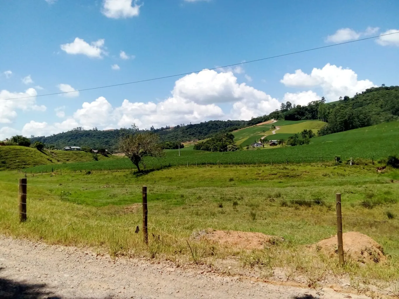 Terreno com 316.000 m, à venda por R$ 1.950.000,00 no bairro Valada do Mosquitinho em Agronômica/SC - foto 1