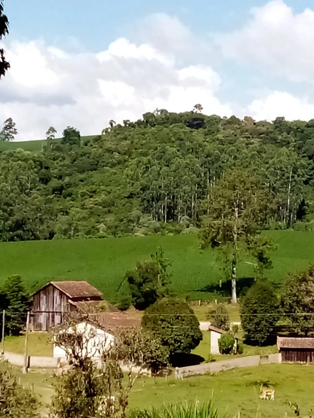 Terreno com 316.000 m, à venda por R$ 1.950.000,00 no bairro Valada do Mosquitinho em Agronômica/SC — foto 2