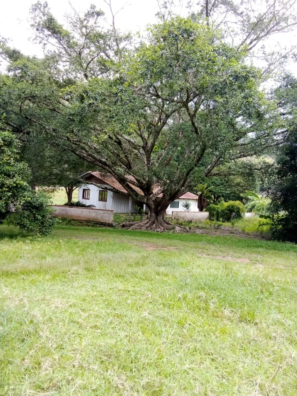 Terreno com 316.000 m, à venda por R$ 1.950.000,00 no bairro Valada do Mosquitinho em Agronômica/SC — foto 3