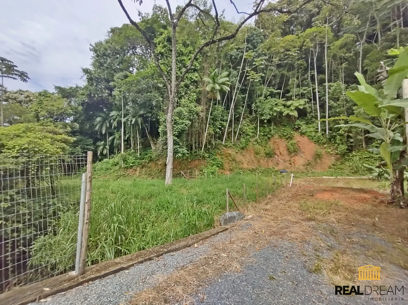 Terreno (ZPA) de 9.604,00m na Itoupava Central — foto 2