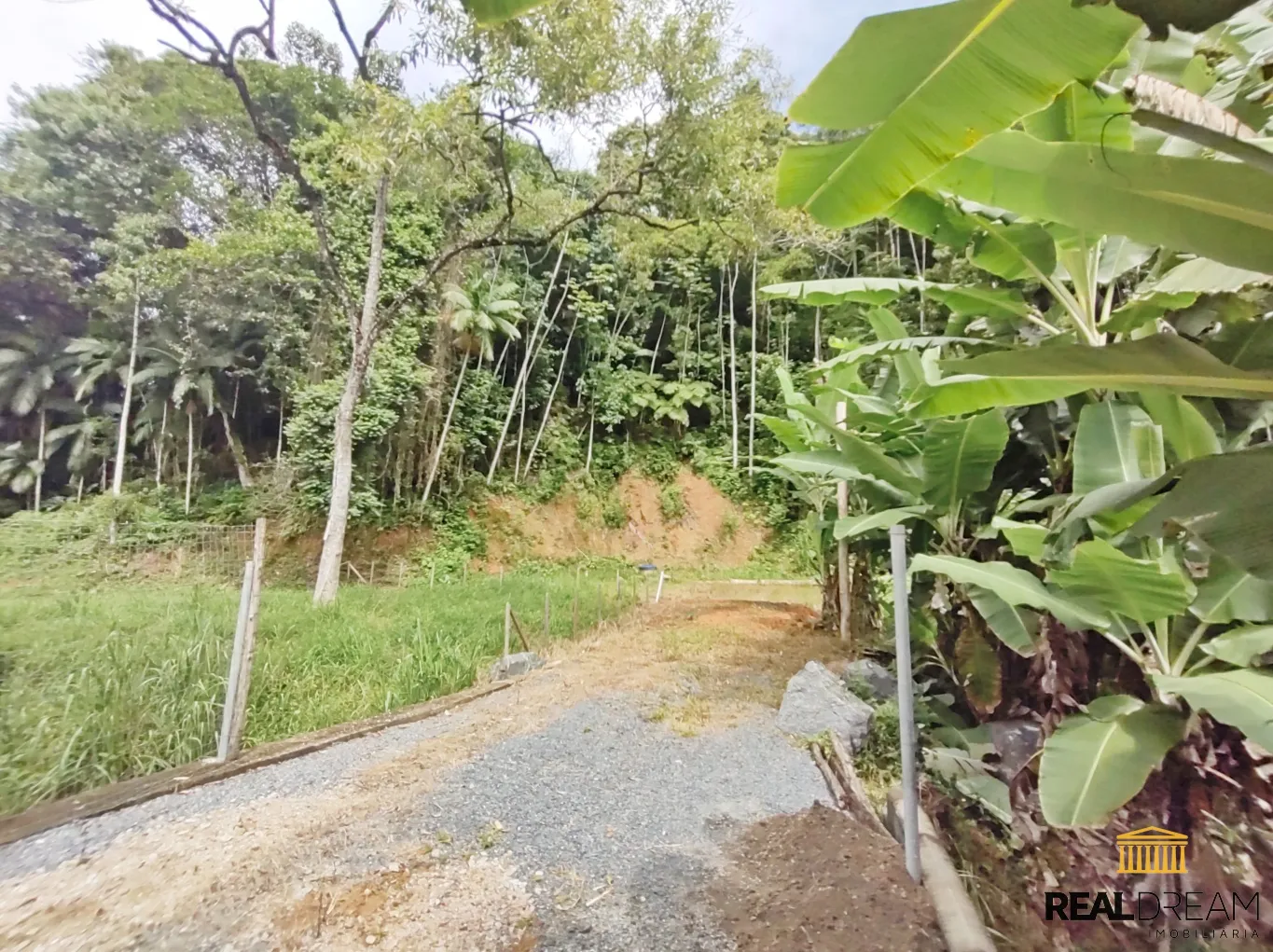 Terreno (ZPA) de 9.604,00m na Itoupava Central — foto 3