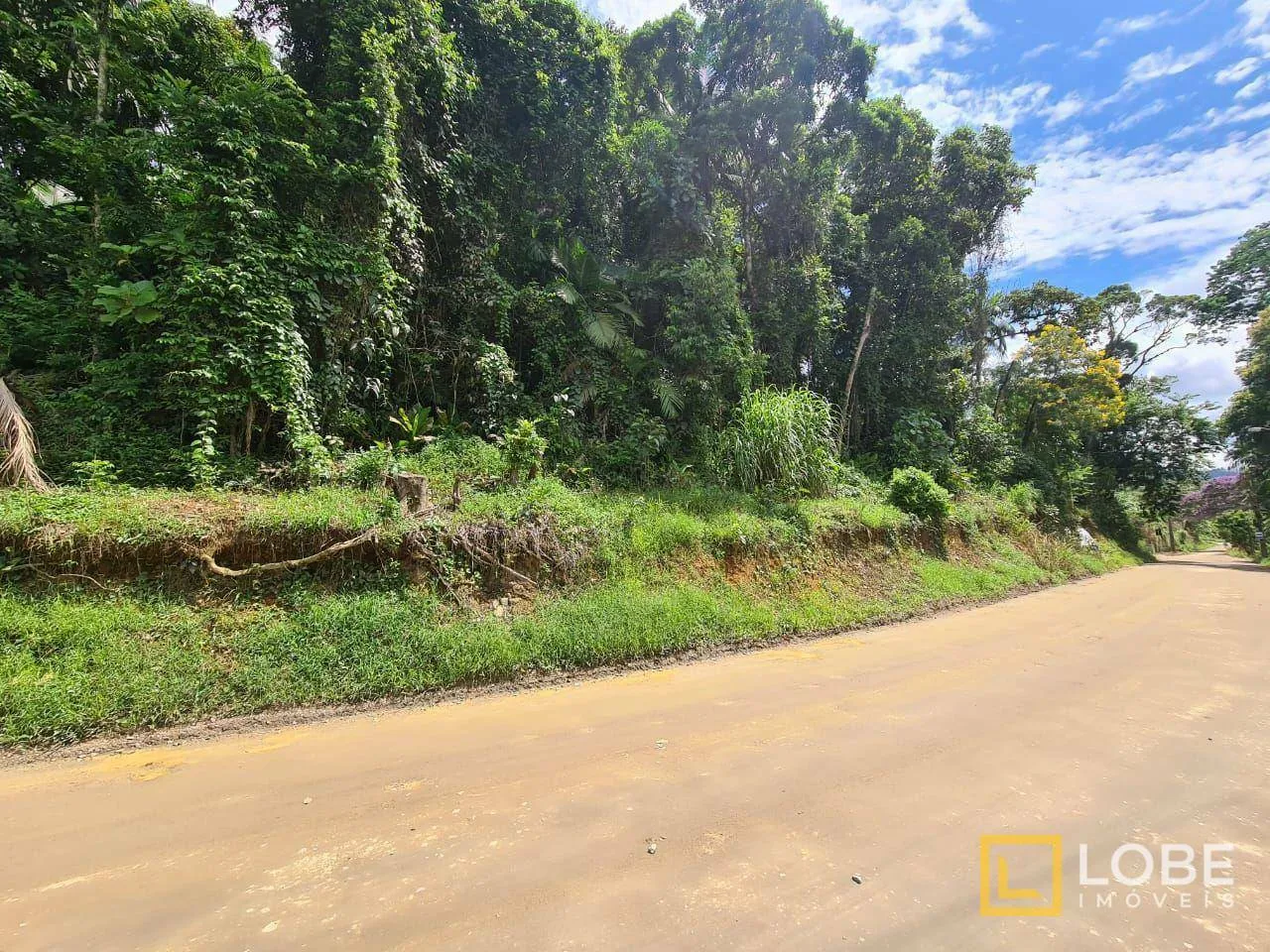 Terreno à venda, 7157 m por R$ 2.300.000,00 - Itoupavazinha - Blumenau/SC — foto 3