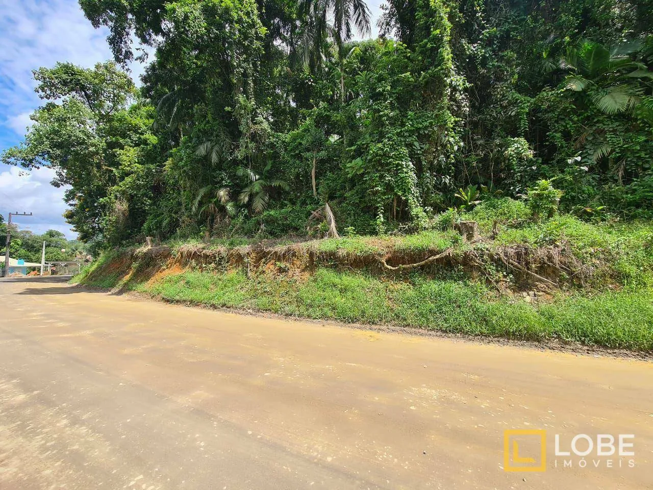 Terreno à venda, 7157 m por R$ 2.300.000,00 - Itoupavazinha - Blumenau/SC — foto 4