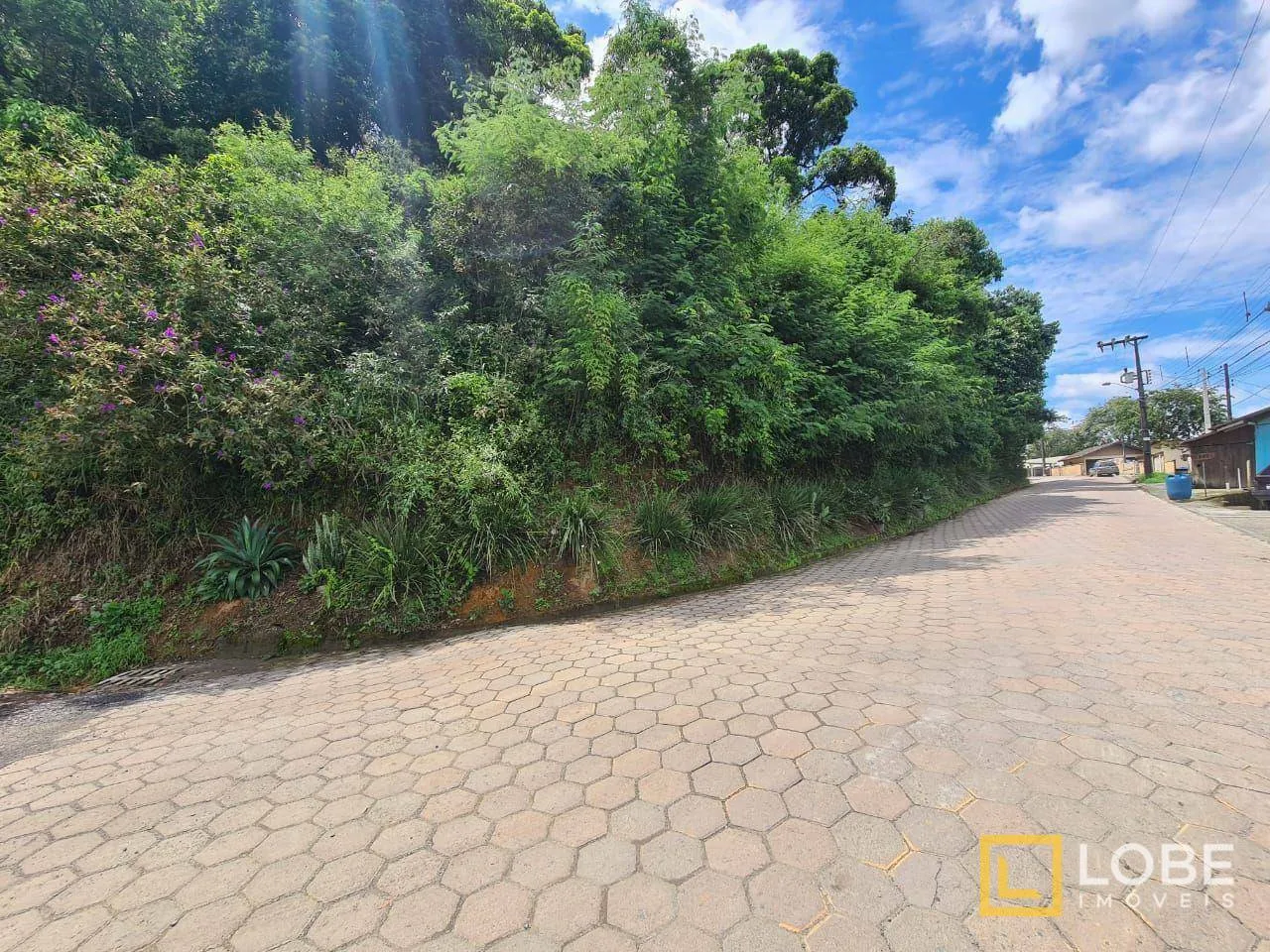 Terreno à venda, 7157 m por R$ 2.300.000,00 - Itoupavazinha - Blumenau/SC — foto 5