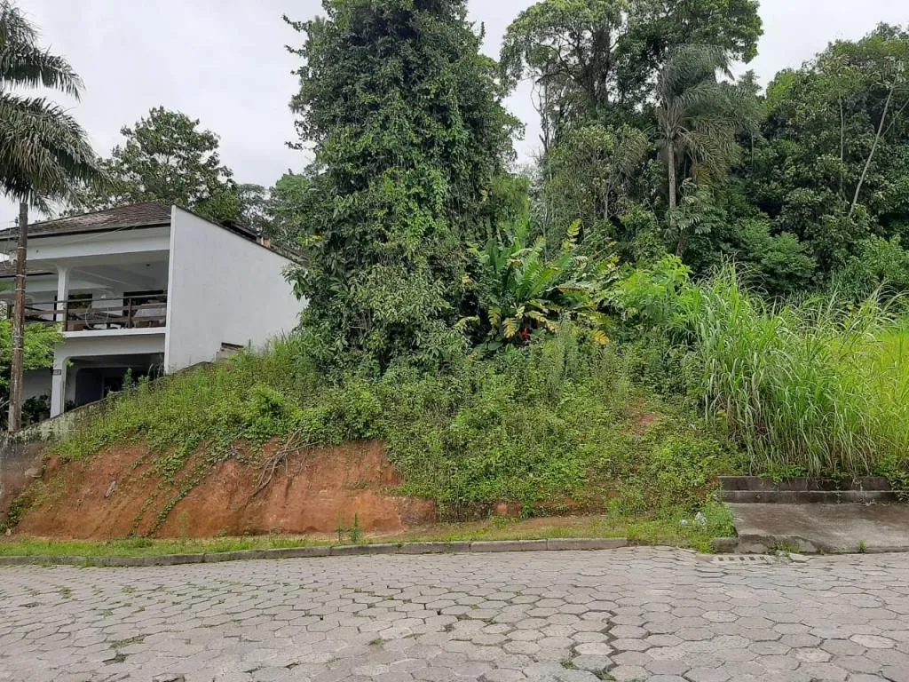TERRENO no COSTA E SILVA com 0 quartos para VENDA, 490 m - foto 1