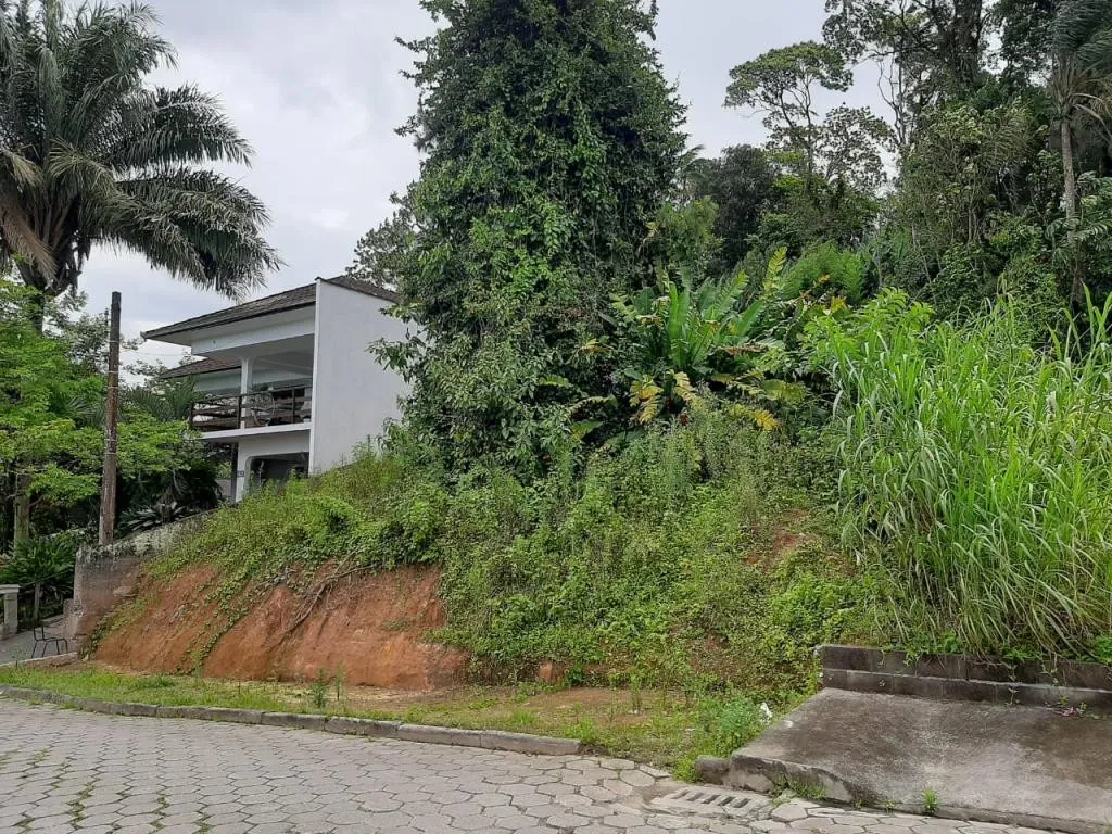 TERRENO no COSTA E SILVA com 0 quartos para VENDA, 490 m — foto 2