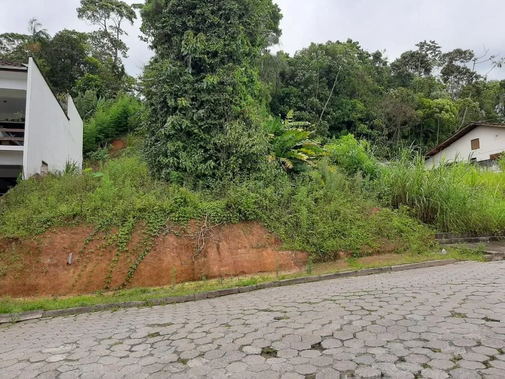 TERRENO no COSTA E SILVA com 0 quartos para VENDA, 490 m — foto 3