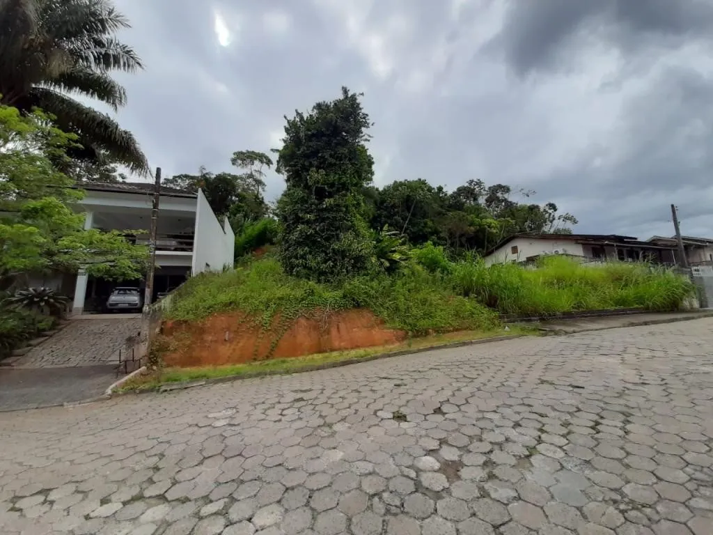 TERRENO no COSTA E SILVA com 0 quartos para VENDA, 490 m — foto 4