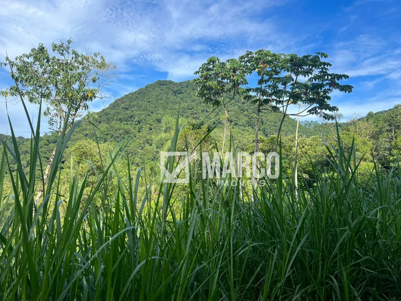 Terreno no Canudos - Testo Alto - Pomerode/SC — foto 3