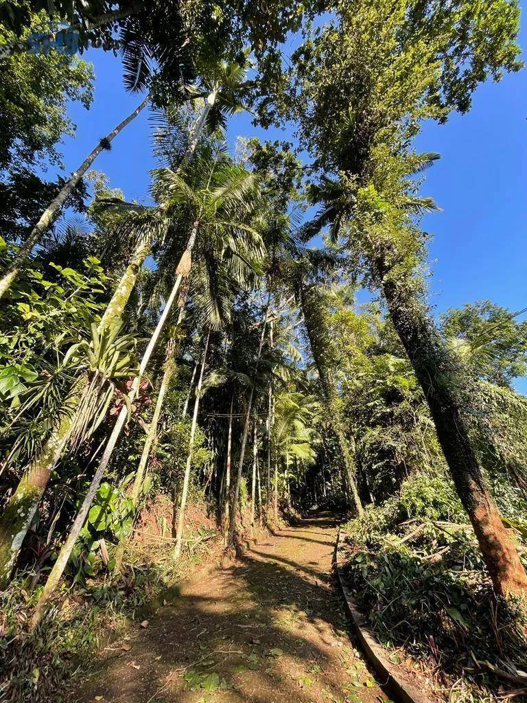 Terreno à venda, 4644 m por R$ 1.950.000,00 - Bela Vista - Gaspar/SC — foto 4