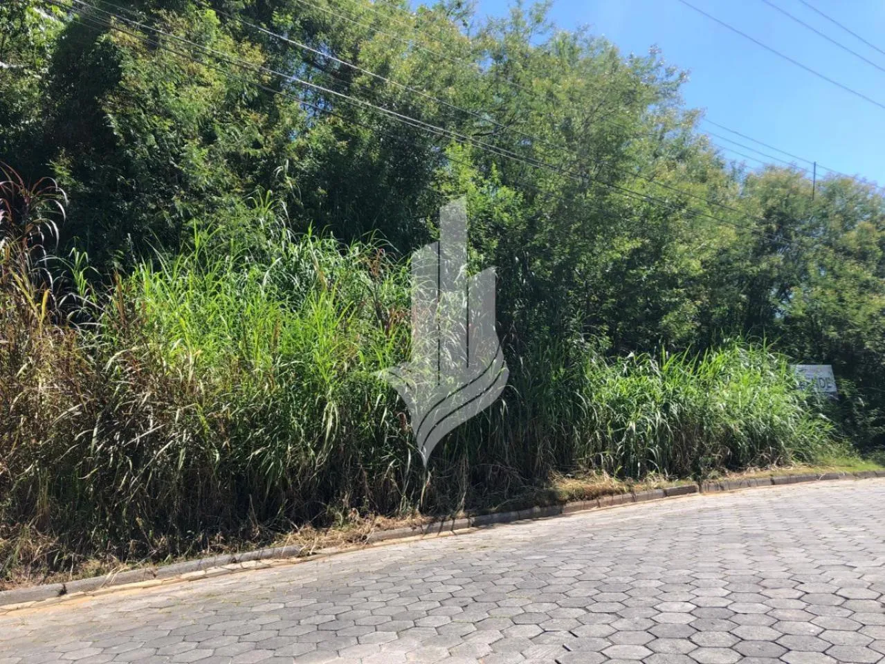 Terreno no Bairro Salto Weissbach, contendo 1.691,67m, com 52,28m de frente. — foto 3