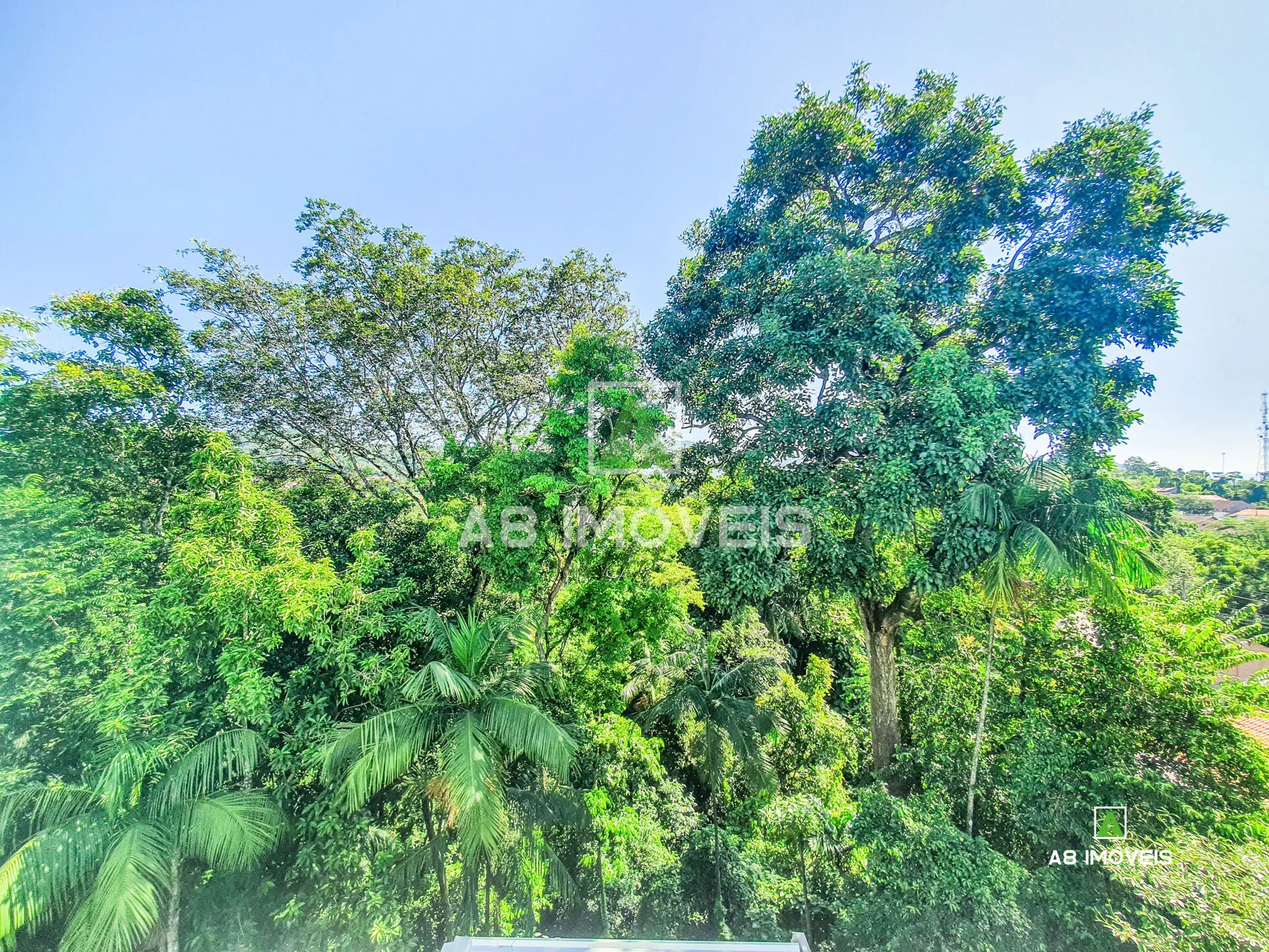APARTAMENTO COM DOIS QUARTOS SENDO UMA SUÍTE BAIRRO AGUA VERDE SEMI MOBILIADO — foto 5