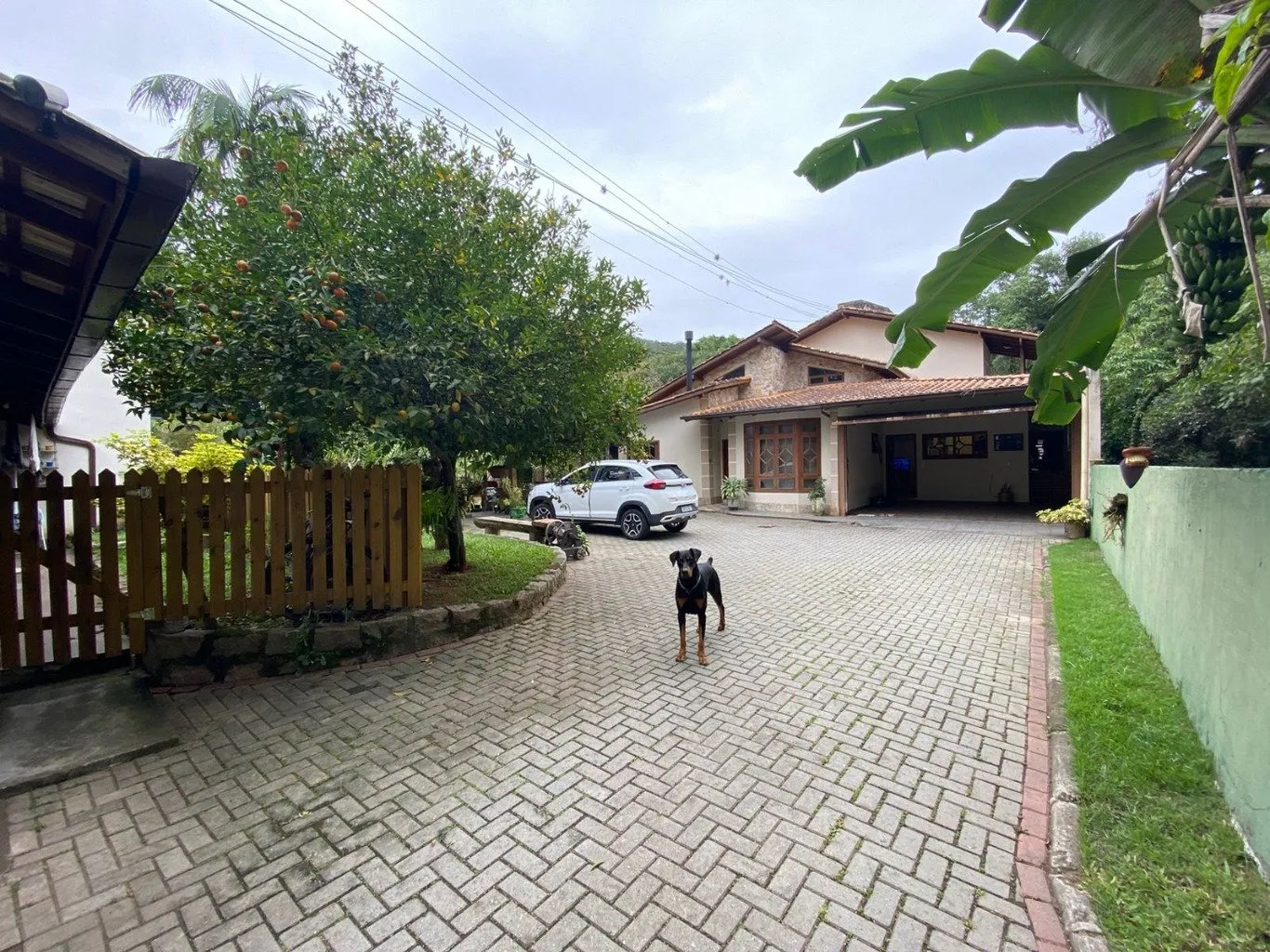 Imóvel — foto 3